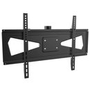 Monitorhalter 37-80 fr Xantron PRO Deckenhalterung...